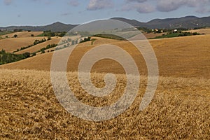 View of the Tuscan countryside