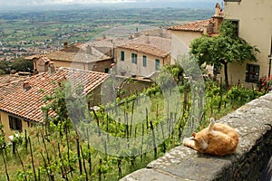 A view of Tuscany