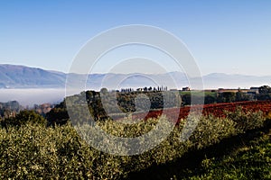 View Of Tuscany Hills