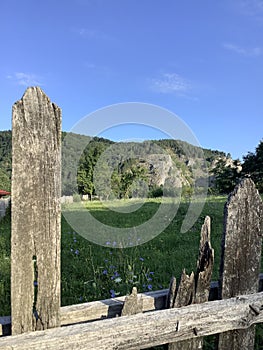 view between two fence slats