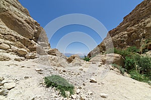 View between two mountains of the blue horizon, the green vegetation.