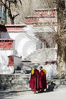 Two yellow-hats Tibetan Buddhist monks in Sera monastery, Lhasa, Tibet