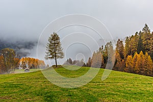 View of typical autumn landscape with a little shack and yellow trees. photo