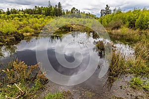 A view of a typical bog landscape around Culloden, Scotland