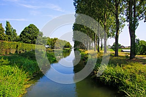 View on typical dutch endless straight waterway canal lined with green grass and poplar trees in countryside