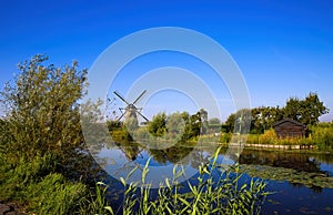 View on typical idyllic dutch rural landscape with reed grass, trees, windmill and old wooden house against deep blue cloudless