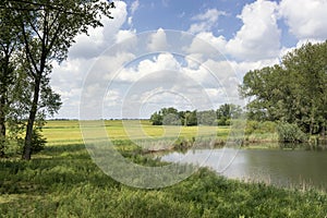 View on a typical landscape in the Netherlands. A perfect dutch sky with beautiful clouds, trees, a pond and green grass