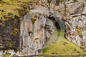 View of a typical landscape in the south of Iceland