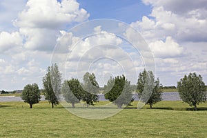 View on a typical river landscape in the Netherlands. A perfect dutch sky with beautiful clouds, a row of tress and green grass