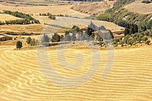 View of typical Tuscany landscape in summer