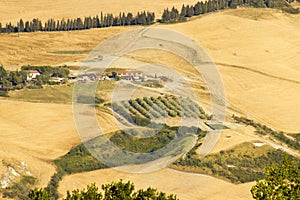 View of typical Tuscany landscape in summer