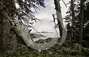 View of Ucluelet coast