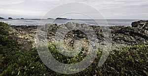 View of Ucluelet coast