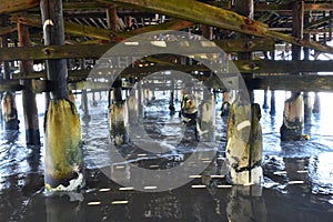 View under a Pier in San Diego