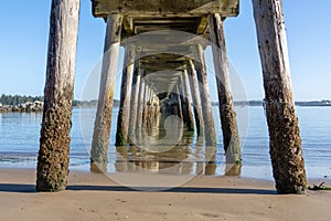 View under a pier in Winchester Bay, Oregon.