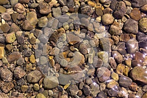 View of underwater pebbles in the sea, pebble background