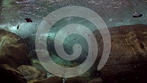 View underwater of strong undercurrent of mountain river Verzasca.