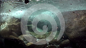 View underwater of strong undercurrent of mountain river Verzasca.