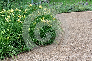 A view of the undulating gravel path and a flower bed with a daylily.