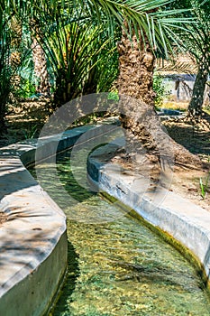 View of the unesco enlisted oasis in Al Ain, UAE...IMAGE photo