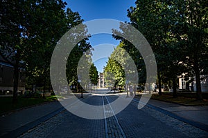 View of University of Toronto campus.
