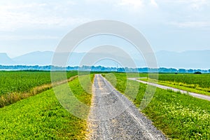 view of an unpaved path leading between two fields near Bodensee in Austria....IMAGE