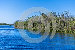 A view up a channel in the Everglades, Florida