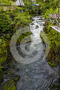 A view up the Creek in Ketchikan, Alaska photo