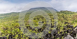 A view up the lava fields on the slopes of the Arenal volcano in Costa Rica