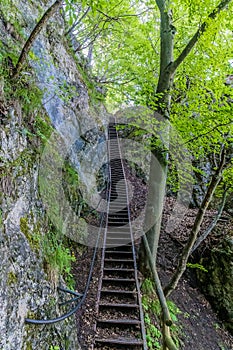 A view up metal steps leading to the Mala Osojnica viewpoint above Lake Bled, Slovenia