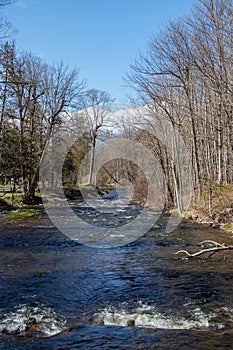 View up a river lined with trees in spring