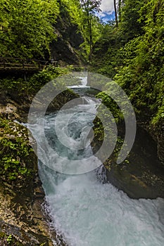 A view up the turbulent Radovna River as it surges over falls in the Vintgar Gorge in Slovenia