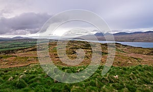 View of upland fields in Scotland
