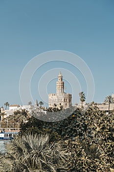 view of the upper part of the Torre del Oro in Seville, which overlooks the vegetation