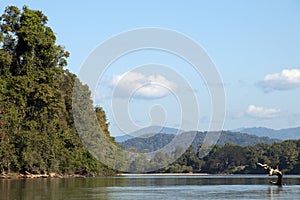 View upriver from boat in dry season