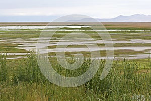 View of Utah marsh and reserve