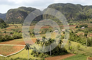 View at valle de vinales photo