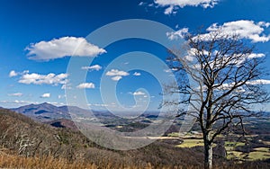View of the valley from Cahas Mountain Overlook