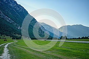 View on valley of Chulyshman valley at the morning. Altai Republic, Siberia. Russia