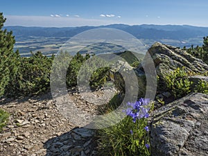 View on valley of Liptov valley from hiking trail on Baranec with yellow trail sign and blooming blue bellflower flowers