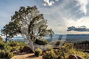 View on valley of roquebrune sure agens, cote d`azur, france