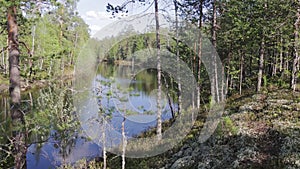 View of the valley of a small taiga river in Siberia during the high water