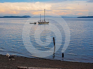 View from Vancouver Island, Canada, with sailboats cruising the