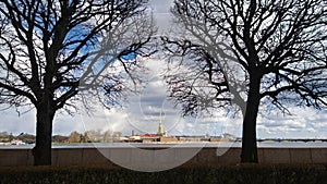 View from Vasilevsky island on the far Petropavlovskiy Cathedral in St. Petersburg with two trees in the foreground