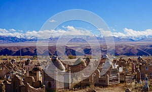 View of vast cemetery with mountains in the background