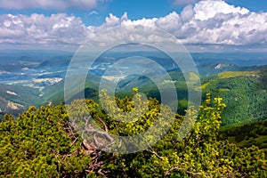 View of the vast mountains in Mala Fatra National Park, Slovakia, on a hot day of summer with cloudy sky. Summer hiking