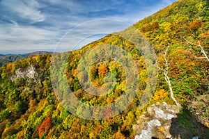 Pohled ze skály Včela skála na Baranovo nad Jakubem na podzim