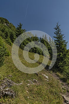 View in Velky Choc area in Slovakia mountains