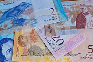 View of Venezuelan money bolivares photo