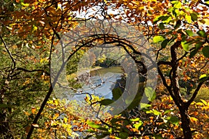 View of the Vermillion River